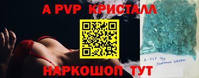 ешки Ставрополь